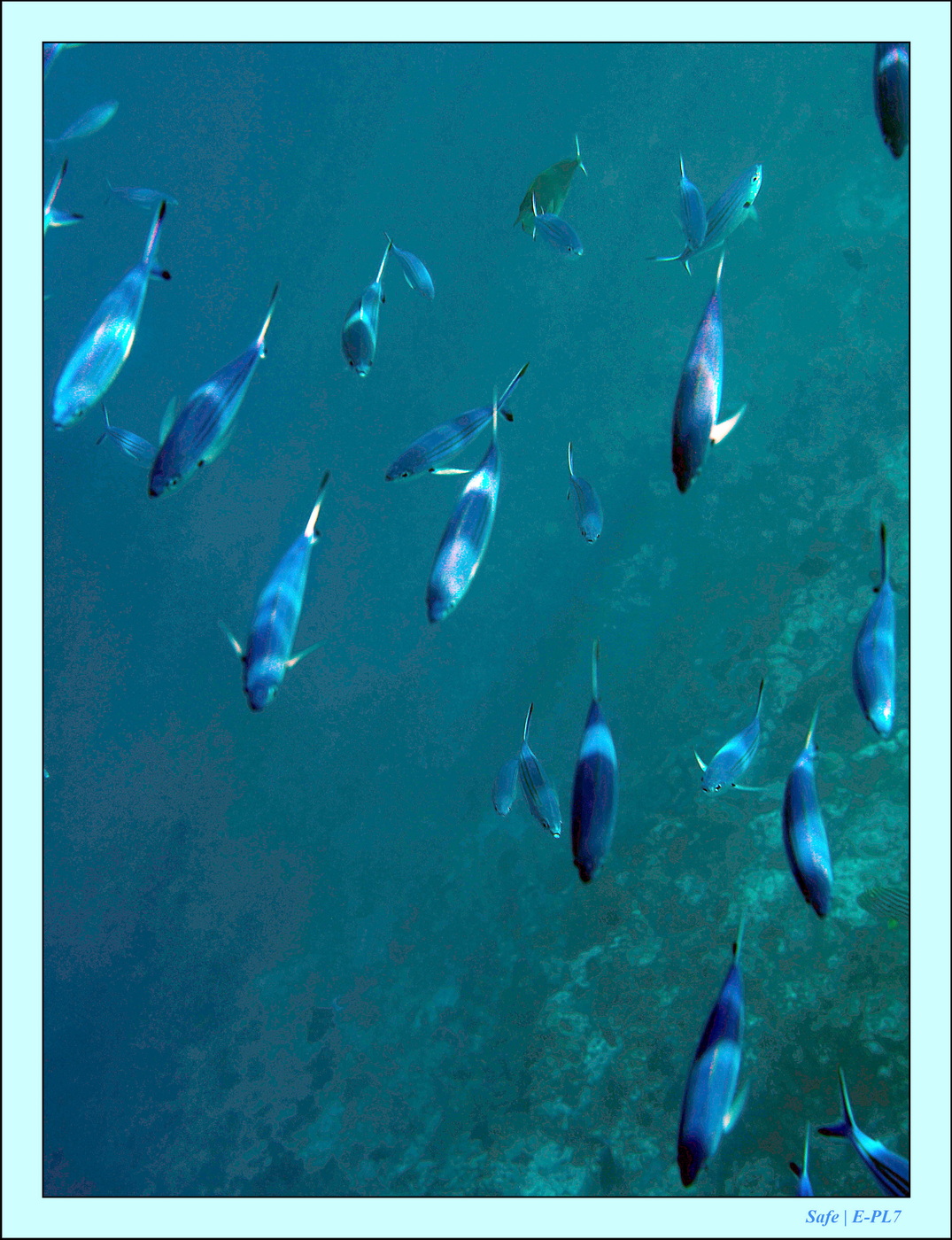 2023 - 07 - Sandies Bathala - 123